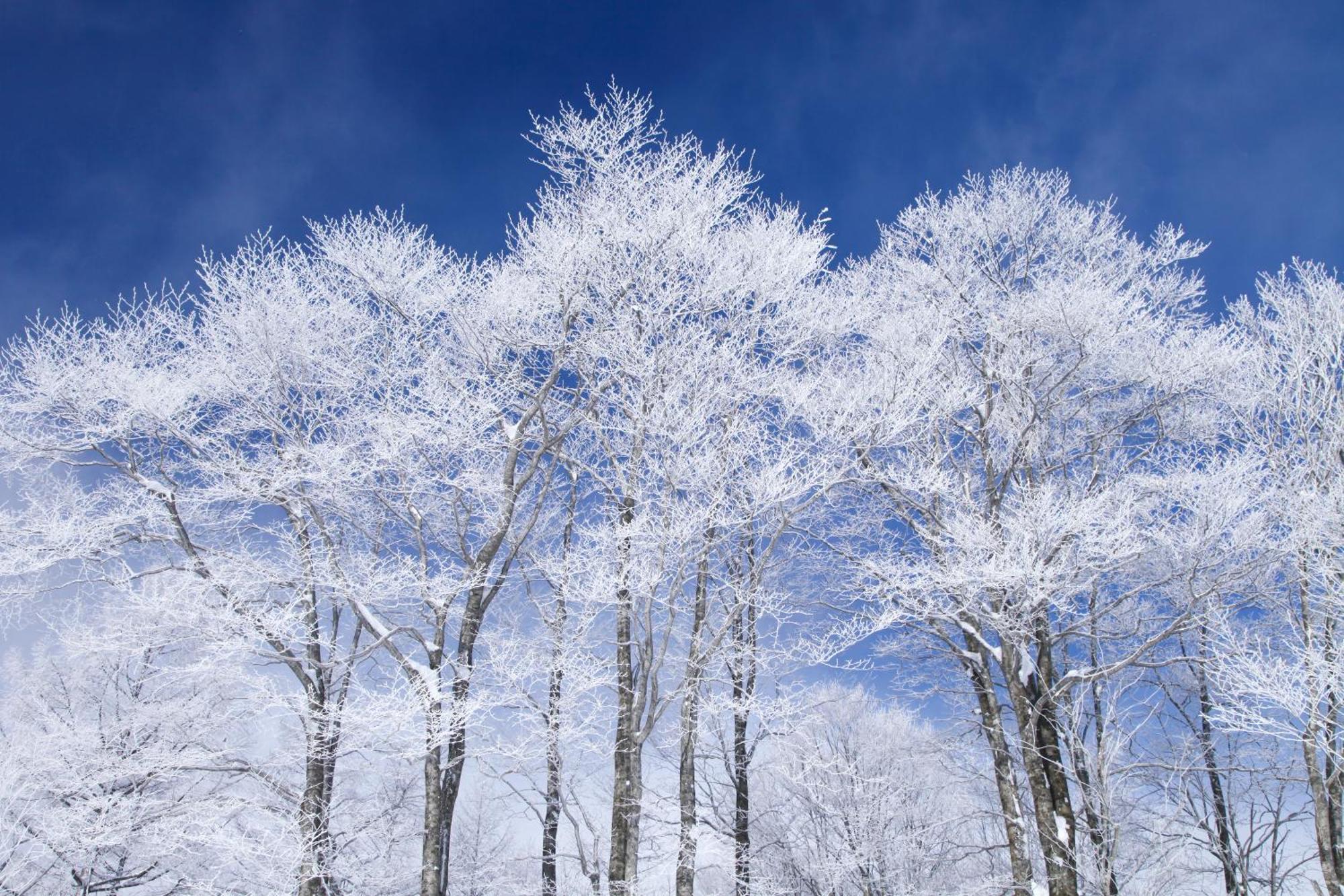 Hakuba Hatago Maruhachi Bagian luar foto