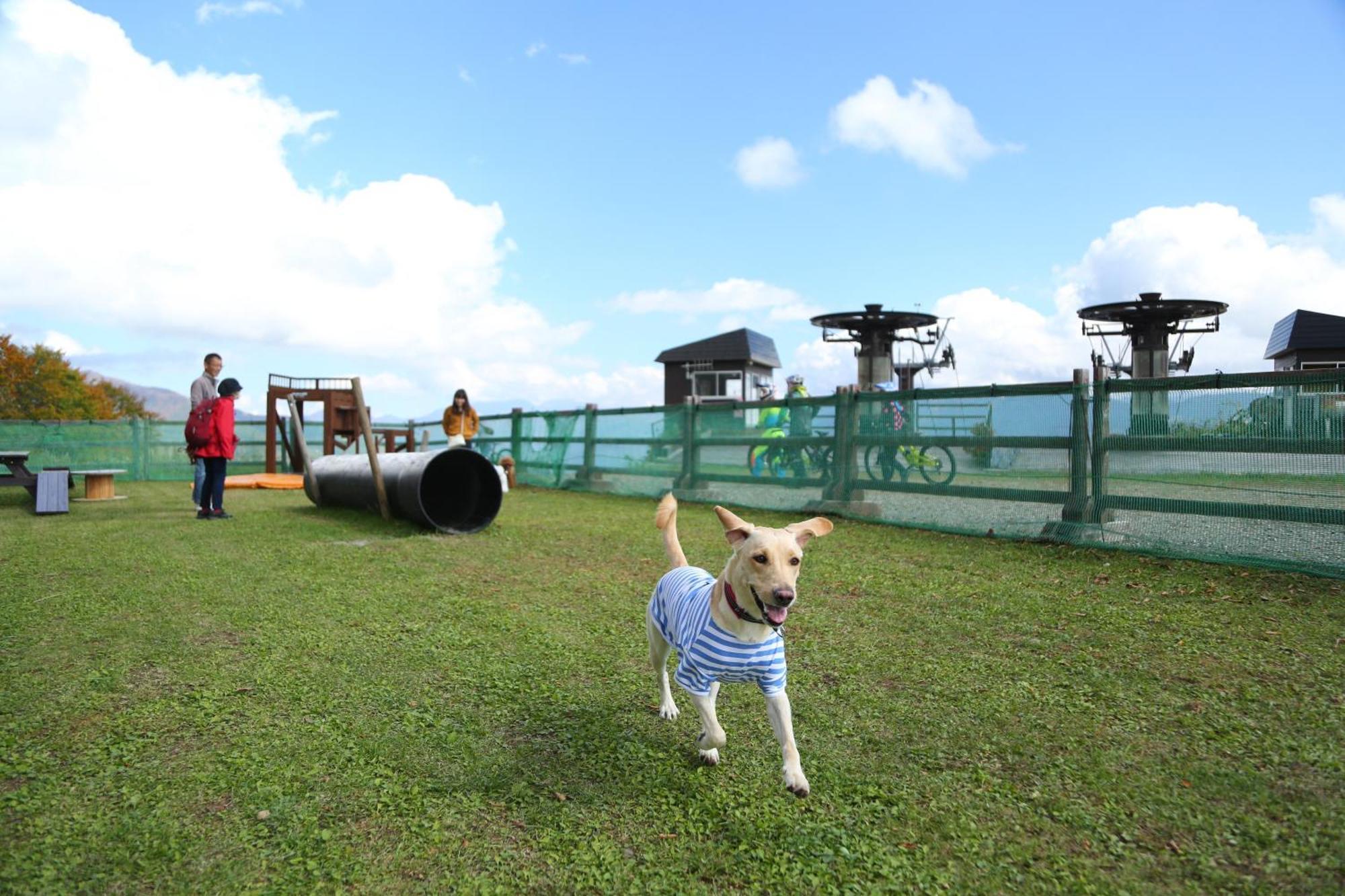 Hakuba Hatago Maruhachi Bagian luar foto